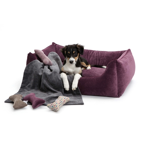 Betten (Mystic
Lila-Purple (Samt)) für Hunde in Düsseldorf kaufen | Chic für alle Felle