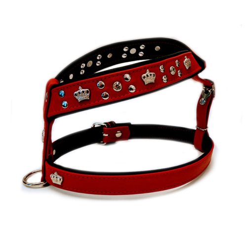 Geschirre (Geschirr Krone
Rot) für Hunde in Düsseldorf kaufen | Chic für alle Felle