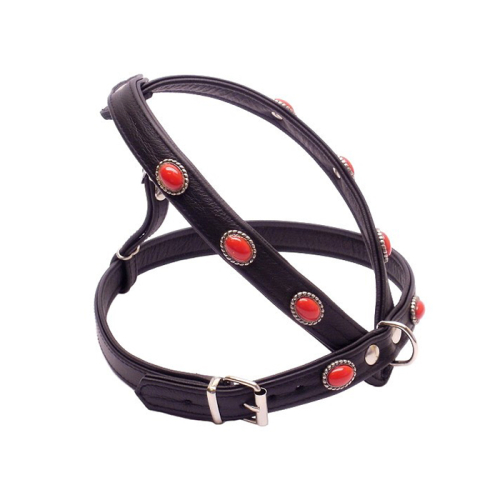 Geschirre (Muggels
(in anderen Farben erhältlich)) für Hunde in Düsseldorf kaufen | Chic für alle Felle