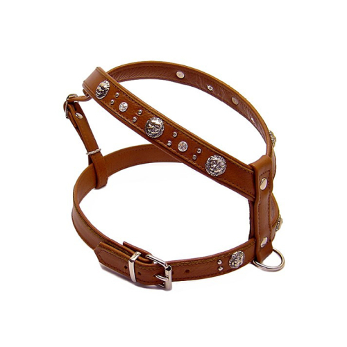 Geschirre (Löwe
Braun) für Hunde in Düsseldorf kaufen | Chic für alle Felle