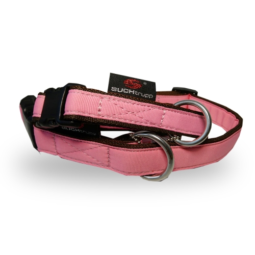 Gurthalsbänder / -leinen (Light-Pink
Gurthalsband) für Hunde in Düsseldorf kaufen | Chic für alle Felle