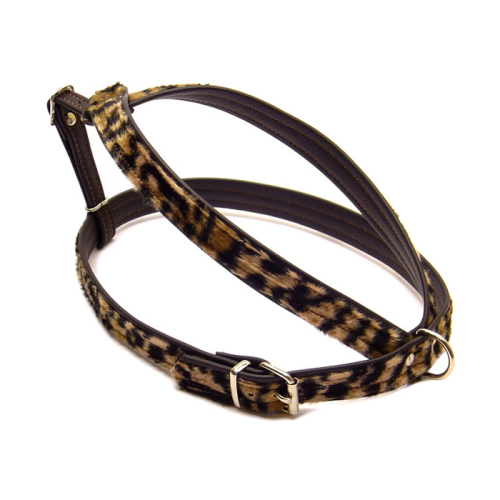 Geschirre (Leopard) für Hunde in Düsseldorf kaufen | Chic für alle Felle