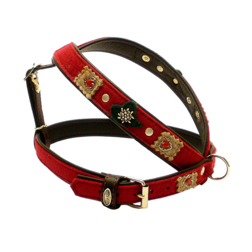 Geschirre (Edelweiß
Rot) für Hunde in Düsseldorf kaufen | Chic für alle Felle