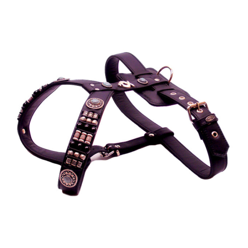 Geschirre (Indio
Sonderanfertigung) für Hunde in Düsseldorf kaufen | Chic für alle Felle