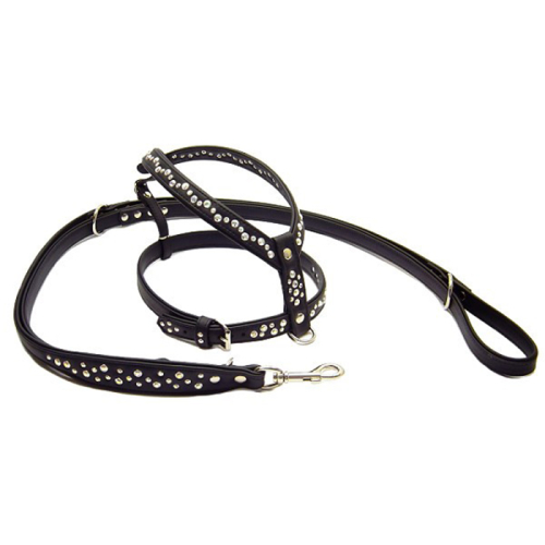 Geschirre (Schmuck
(in allen Farben erhältlich)) für Hunde in Düsseldorf kaufen | Chic für alle Felle