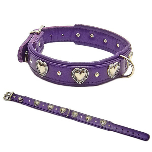 Halsbänder (Herz
Lila) für Hunde in Düsseldorf kaufen | Chic für alle Felle
