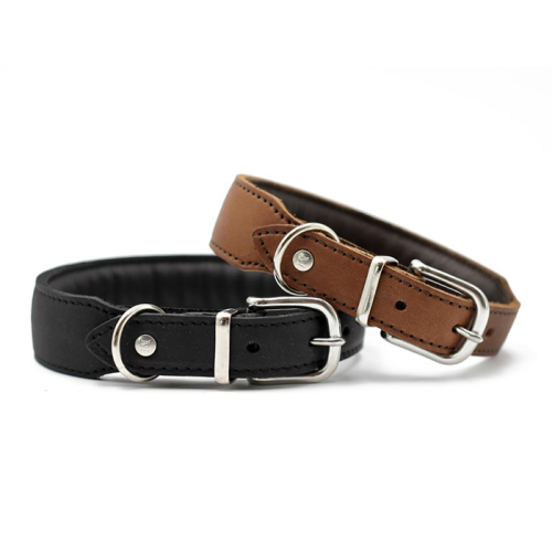 Halsbänder (Gepolstert) für Hunde in Düsseldorf kaufen | Chic für alle Felle