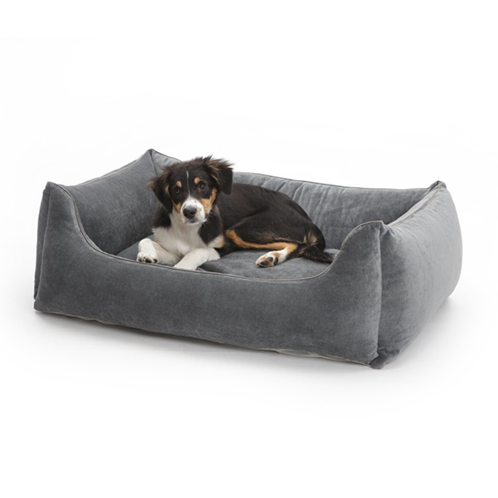 Betten für Hunde in Düsseldorf | Chic für alle Felle