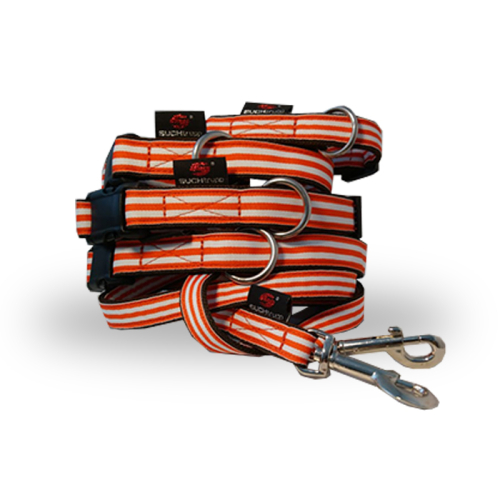 Gurthalsbänder / -leinen (Orange-Weiß
Gurtleine) für Hunde in Düsseldorf kaufen | Chic für alle Felle