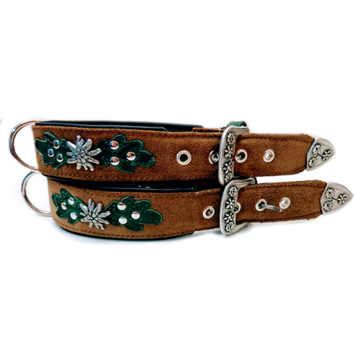 Halsbänder (Edelweiß
Braun) für Hunde in Düsseldorf kaufen | Chic für alle Felle