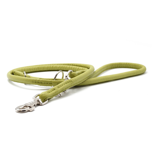 Leinen (Pistazie) für Hunde in Düsseldorf kaufen | Chic für alle Felle