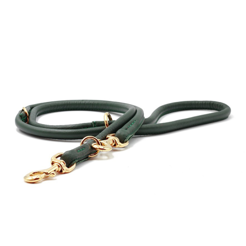 Leinen (Grün) für Hunde in Düsseldorf kaufen | Chic für alle Felle