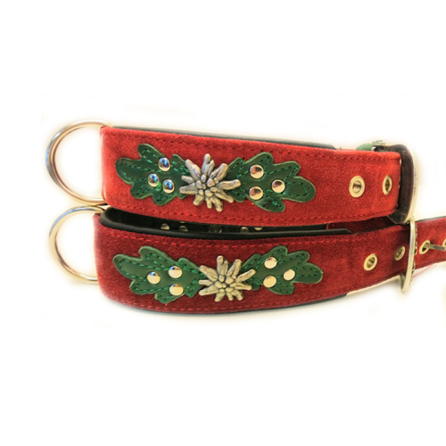 Halsbänder (Edelweiß
Rot) für Hunde in Düsseldorf kaufen | Chic für alle Felle