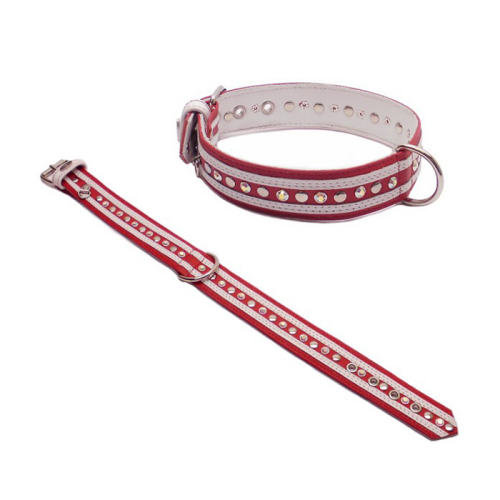 Halsbänder (Schmuck / Nieten
Rot-Weiss) für Hunde in Düsseldorf kaufen | Chic für alle Felle