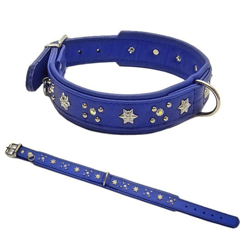 Halsbänder (Stern
Dunkelblau) für Hunde in Düsseldorf kaufen | Chic für alle Felle