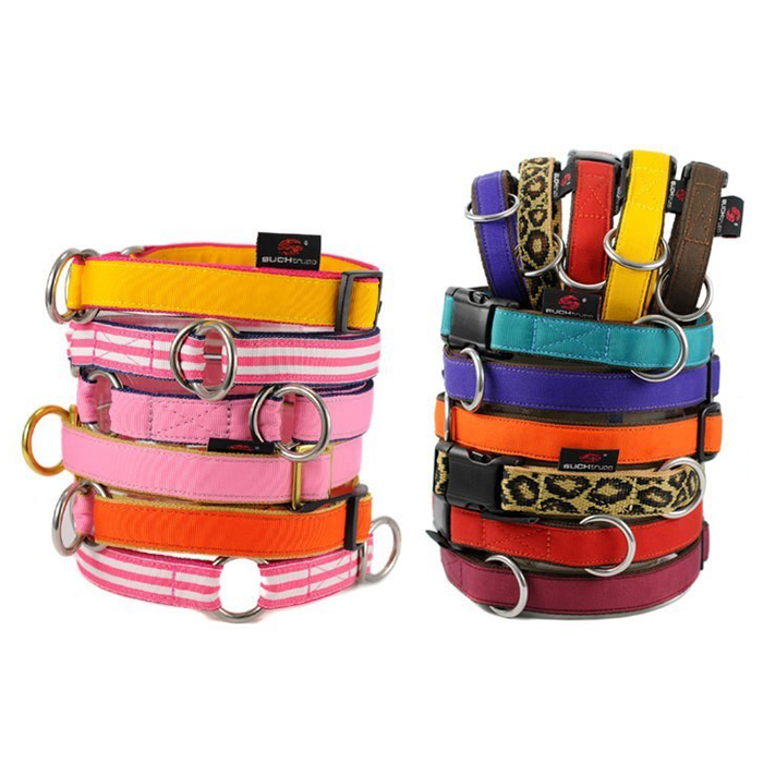 Gurthalsbänder / -leinen für Hunde in Düsseldorf | Chic für alle Felle