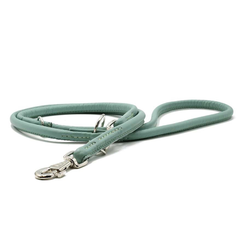 Leinen (Mint) für Hunde in Düsseldorf kaufen | Chic für alle Felle