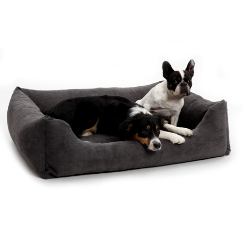 Betten (Madison
Anthrazit) für Hunde in Düsseldorf kaufen | Chic für alle Felle