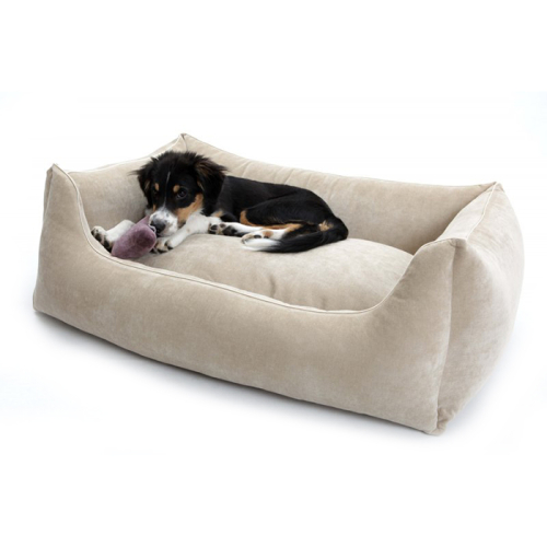 Betten (Mystic
Sand) für Hunde in Düsseldorf kaufen | Chic für alle Felle