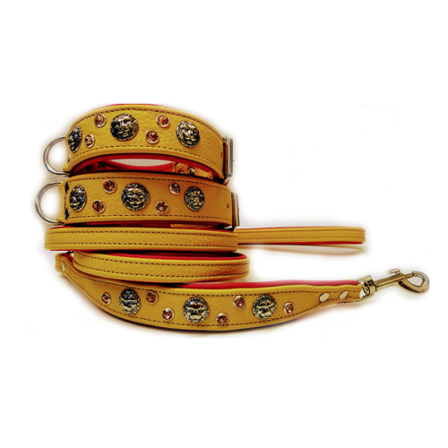 Halsbänder (Löwe (mit Leinen)
Gelb) für Hunde in Düsseldorf kaufen | Chic für alle Felle