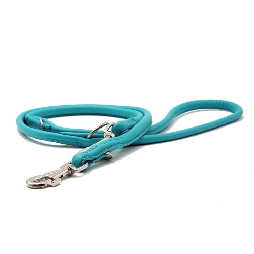 Leinen (Petrol) für Hunde in Düsseldorf kaufen | Chic für alle Felle