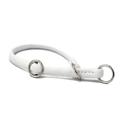 Rundhalsbänder (Weiß) für Hunde in Düsseldorf kaufen | Chic für alle Felle