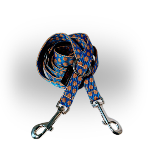 Gurthalsbänder / -leinen (Blau-Gelb Punkte
Gurtleine) für Hunde in Düsseldorf kaufen | Chic für alle Felle