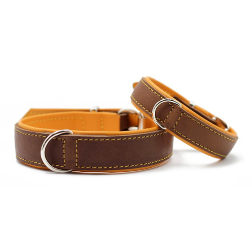 Halsbänder (Braun-Orange) für Hunde in Düsseldorf kaufen | Chic für alle Felle