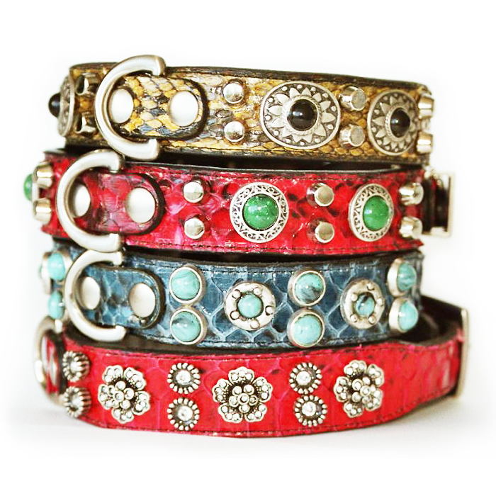 Halsbänder für Hunde in Düsseldorf | Chic für alle Felle