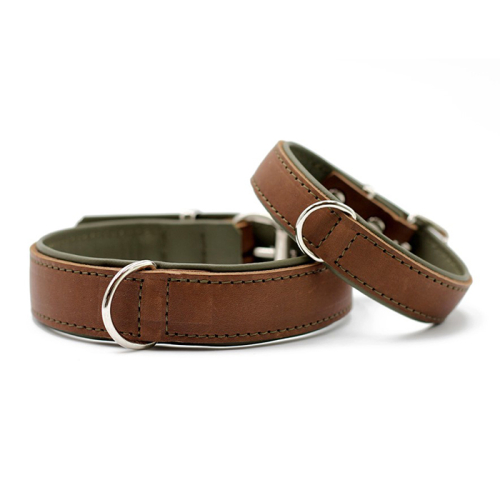 Halsbänder (Braun-Grün) für Hunde in Düsseldorf kaufen | Chic für alle Felle